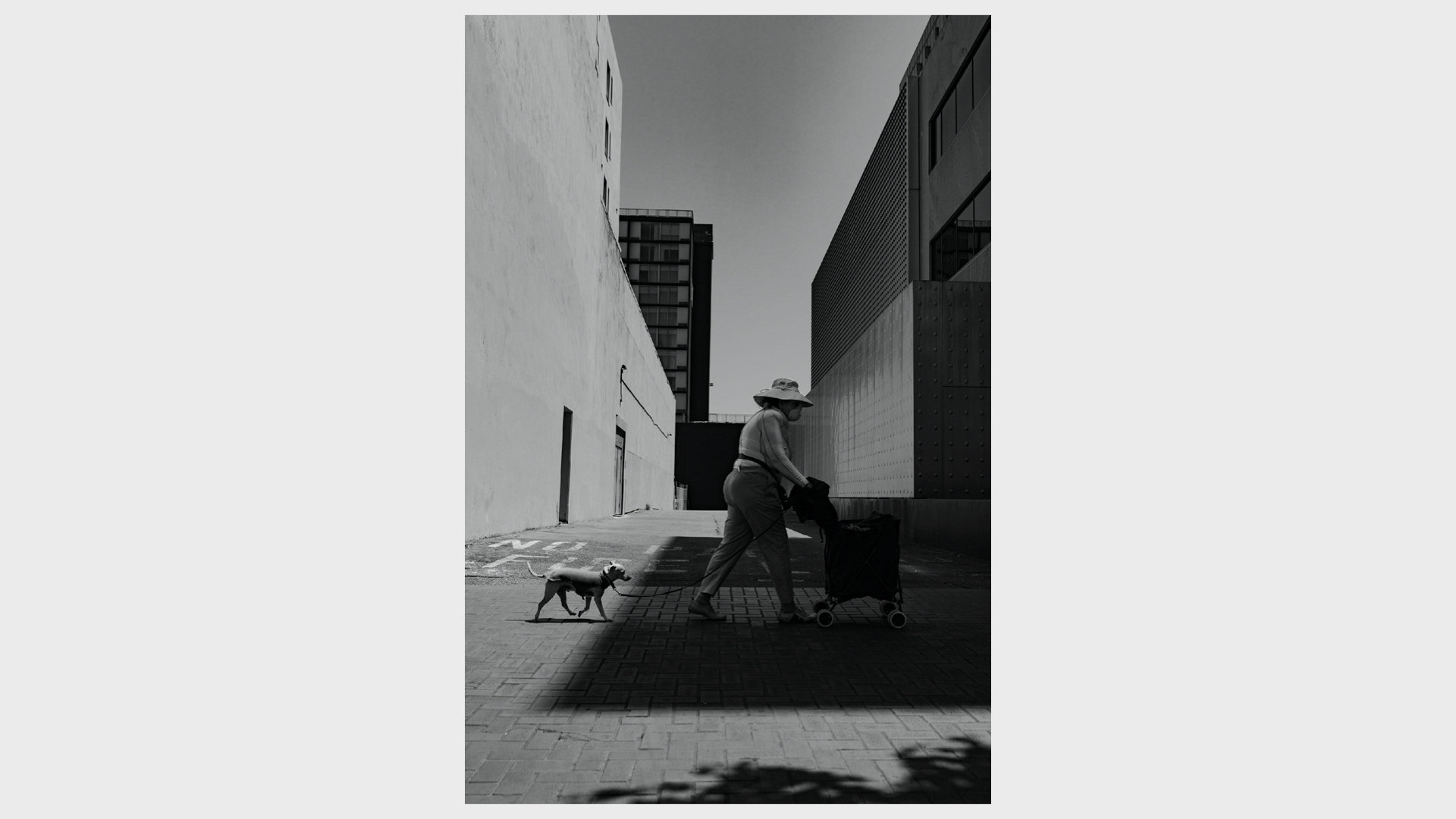 📸 Siliconless — image 15