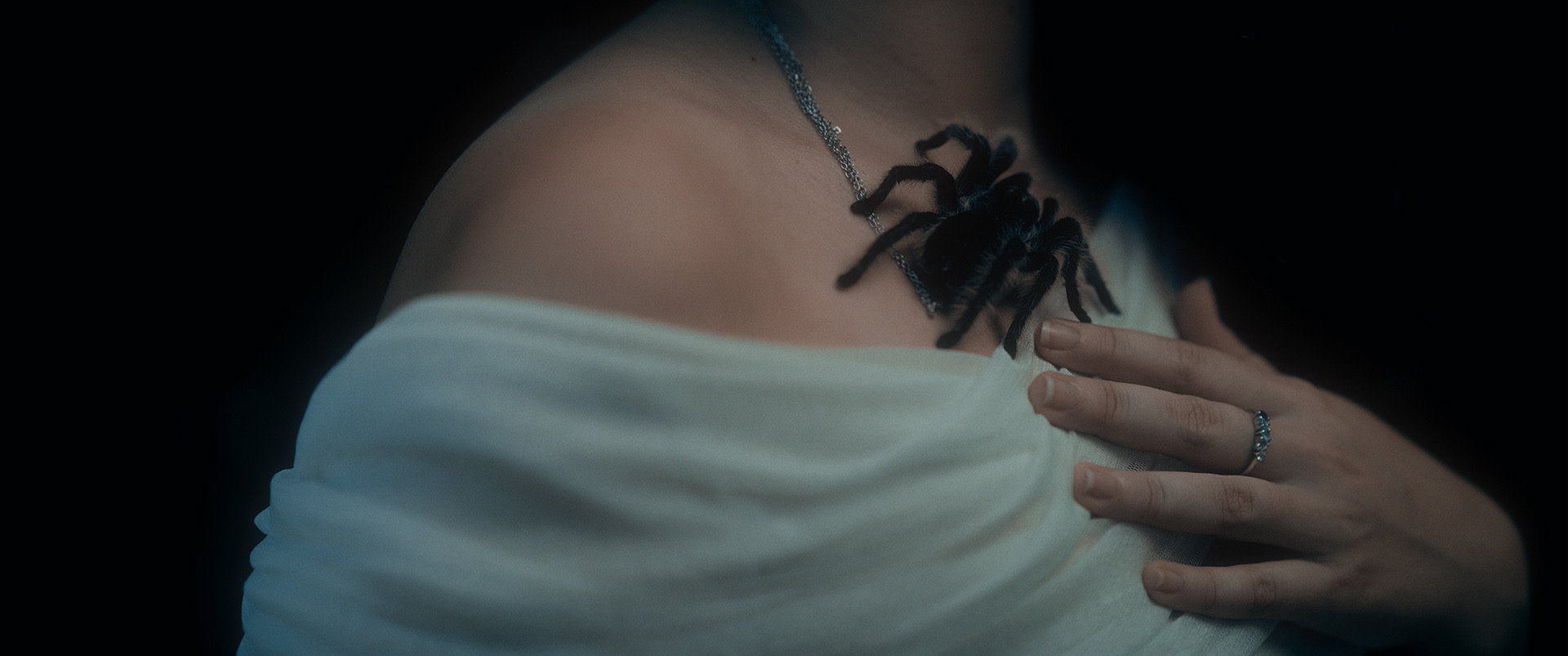SIREN — image 4