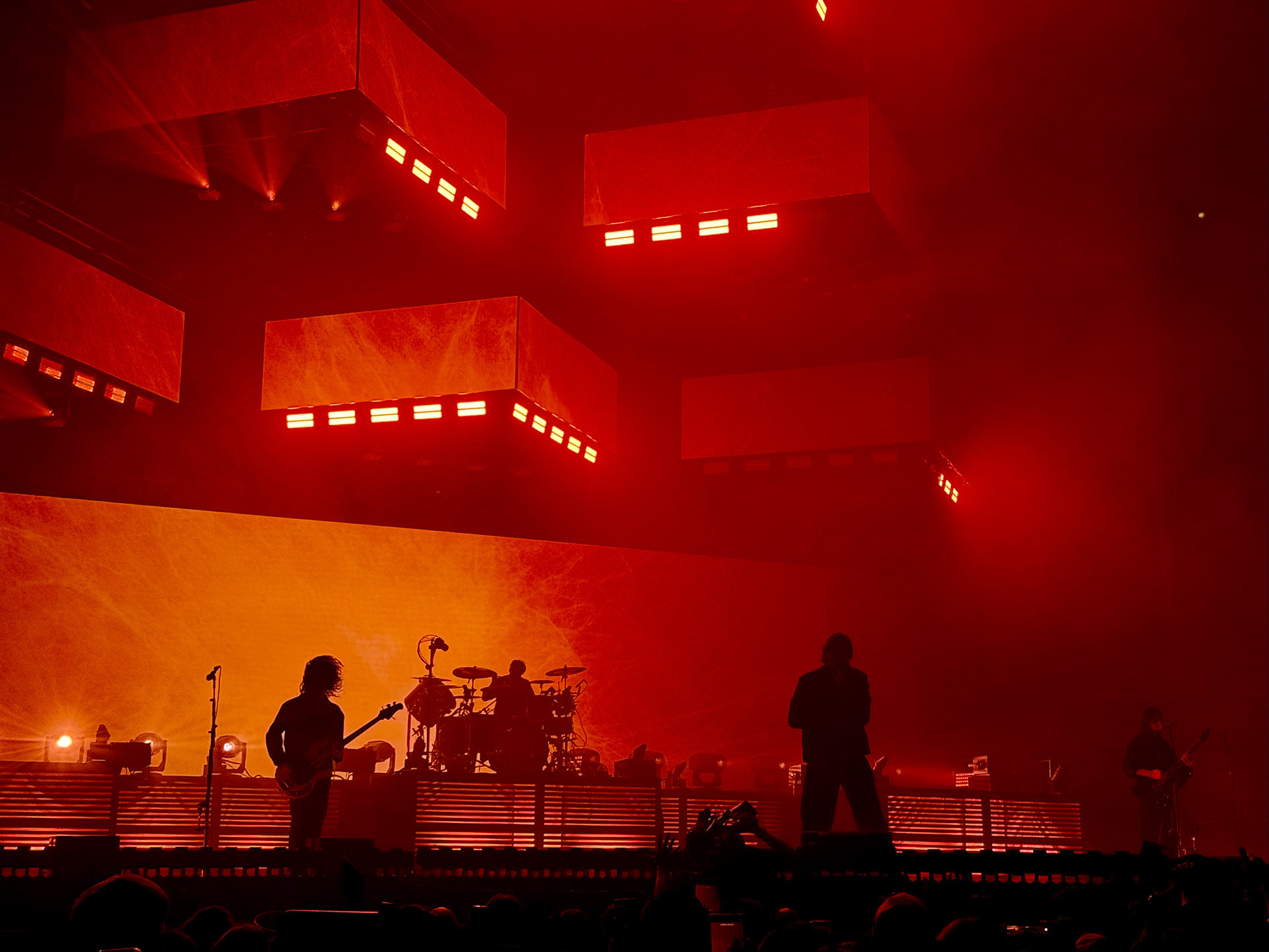 📸 Photography /live — image 17