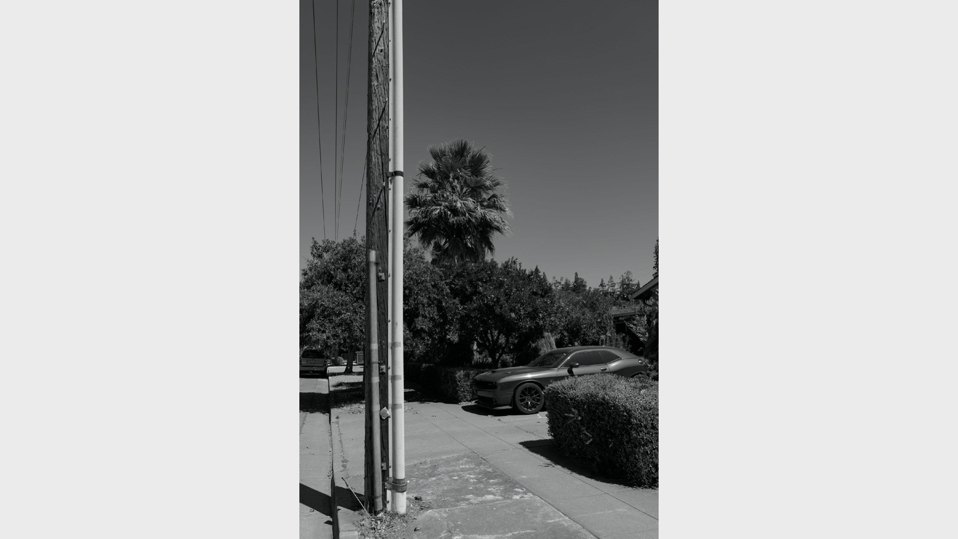 📸 Siliconless — image 30