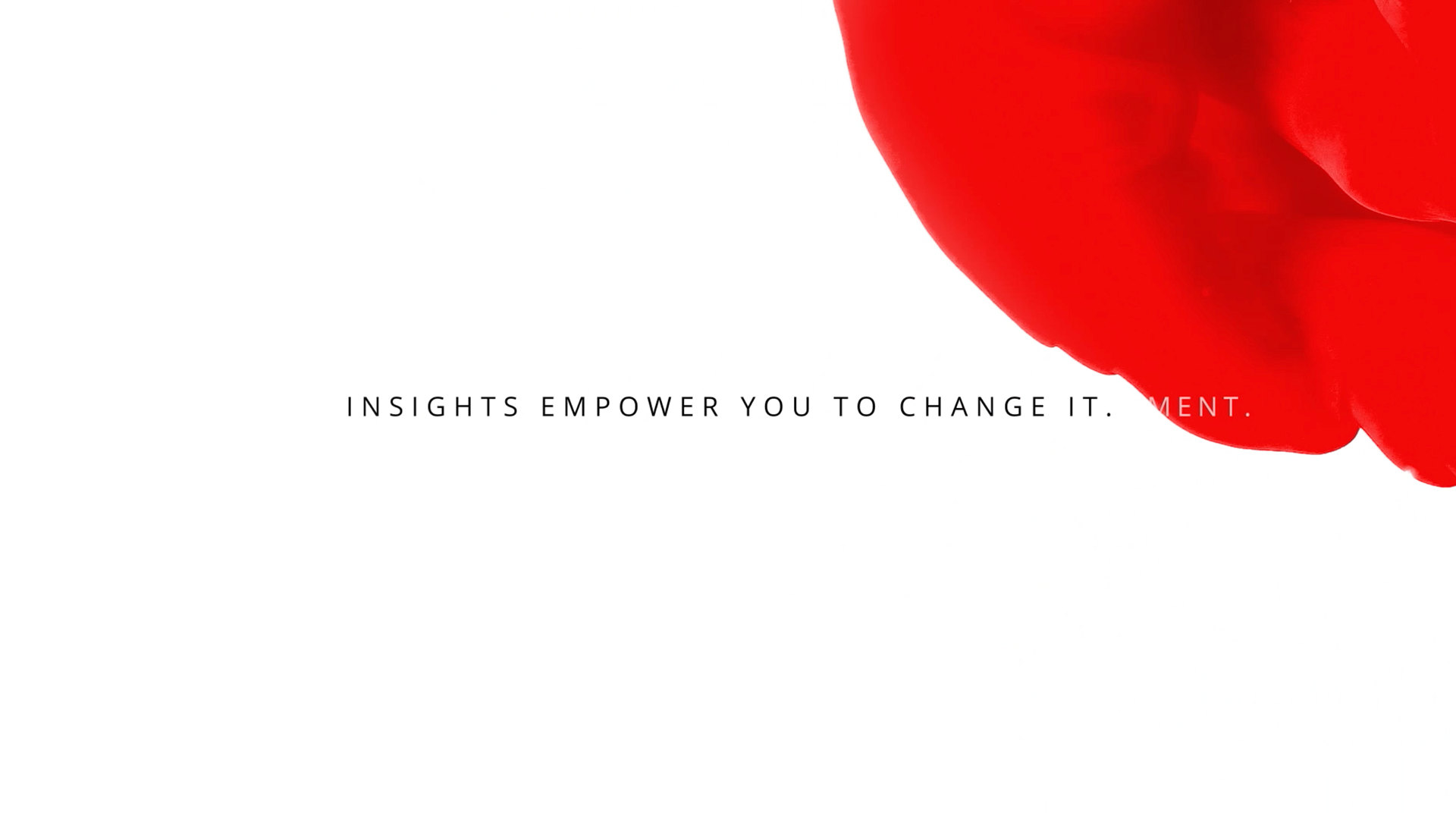 Insights \Cyber — image 2