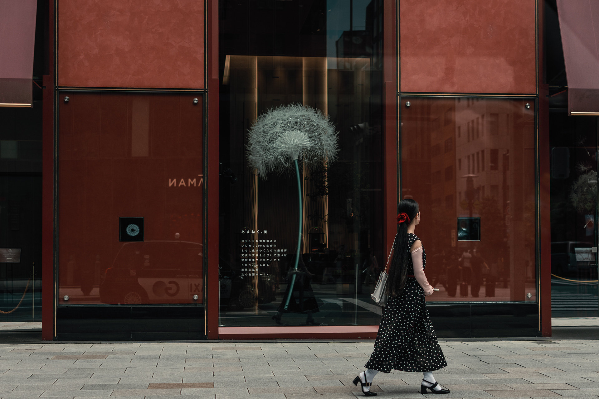 📷 #2 — image 11