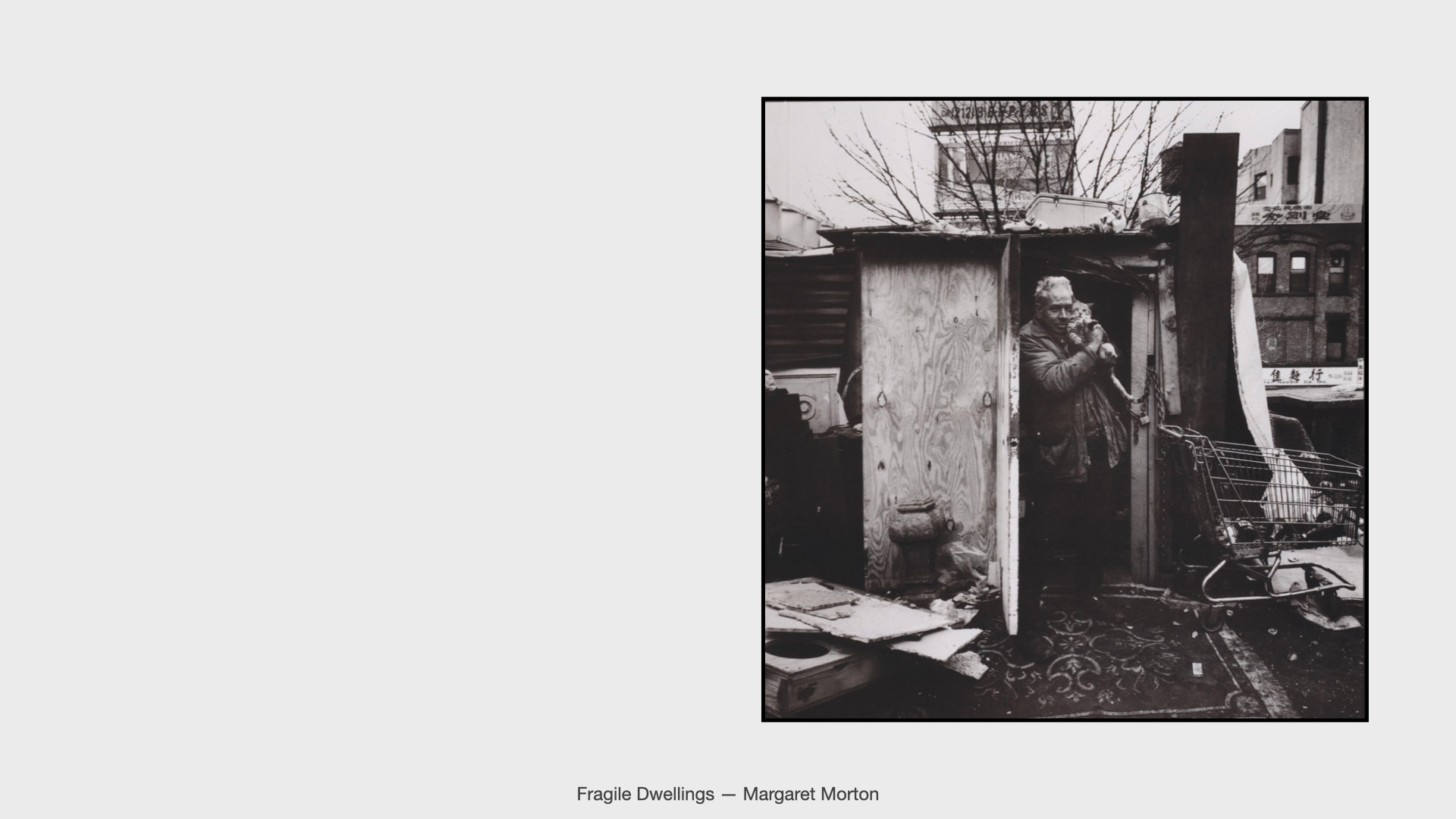 📸 Siliconless — image 60