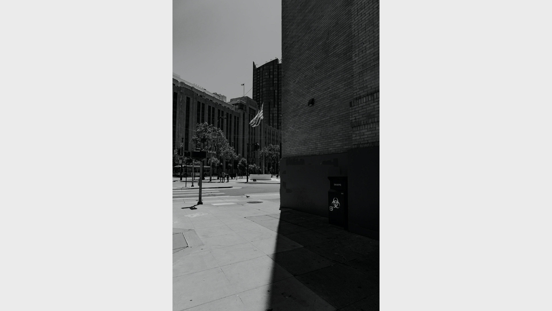 📸 Siliconless — image 8