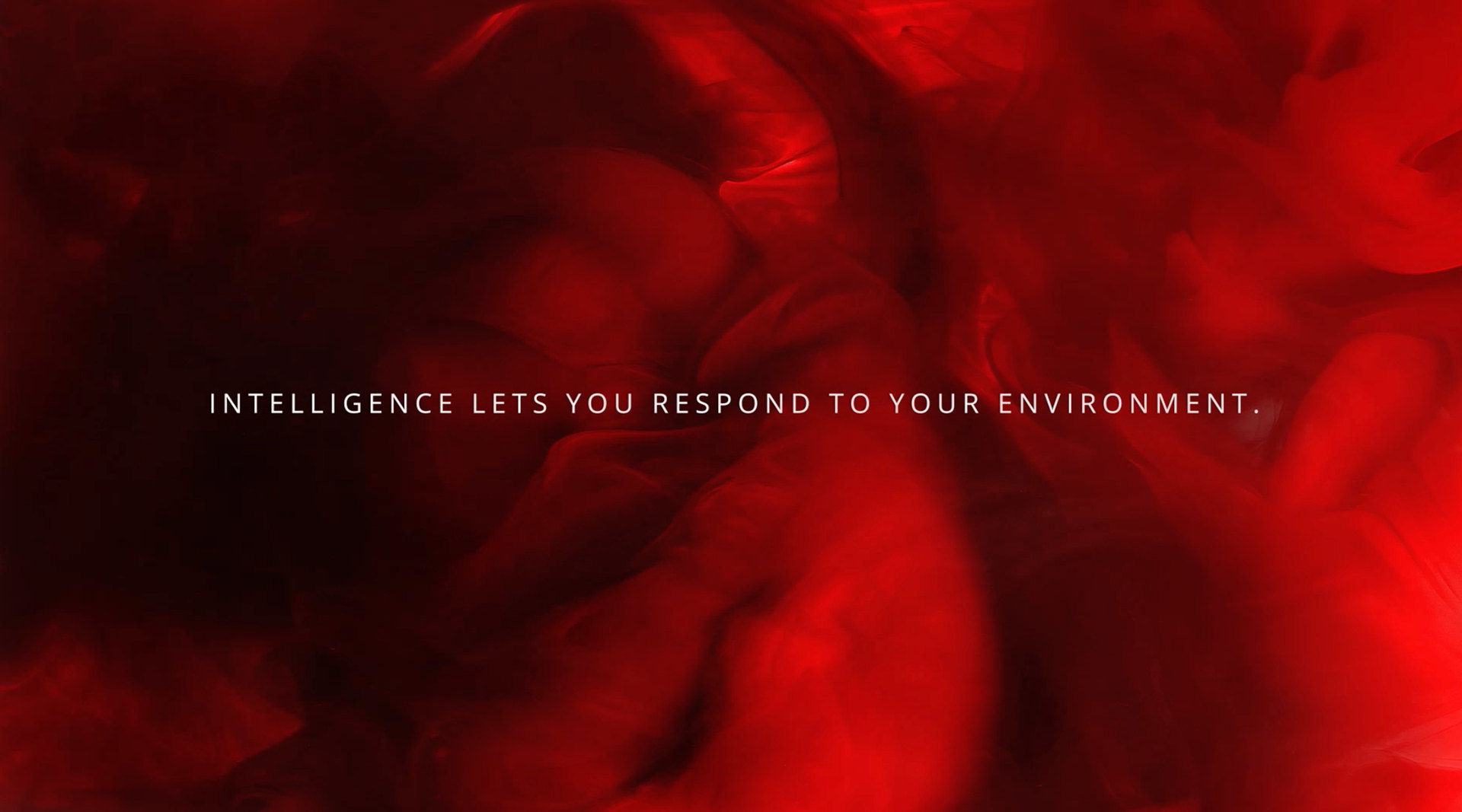 Insights \Cyber — image 1